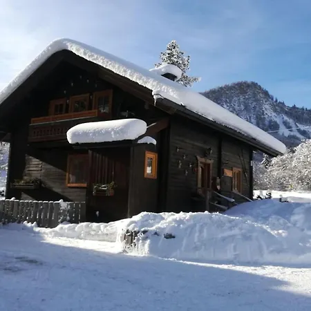 Fritz Hunting Wald im Pinzgau
